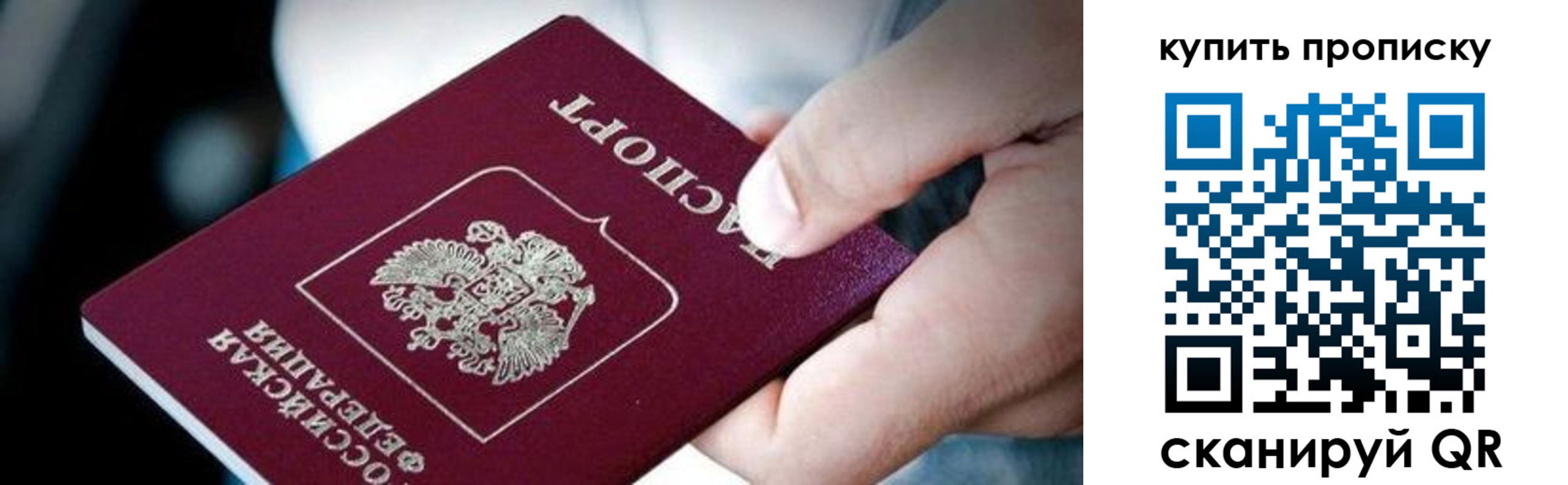 прописка поиск в Камчатской области