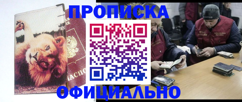 прописка в квартире в Камчатской области